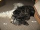 Thumbs/tn_Bild 005.jpg